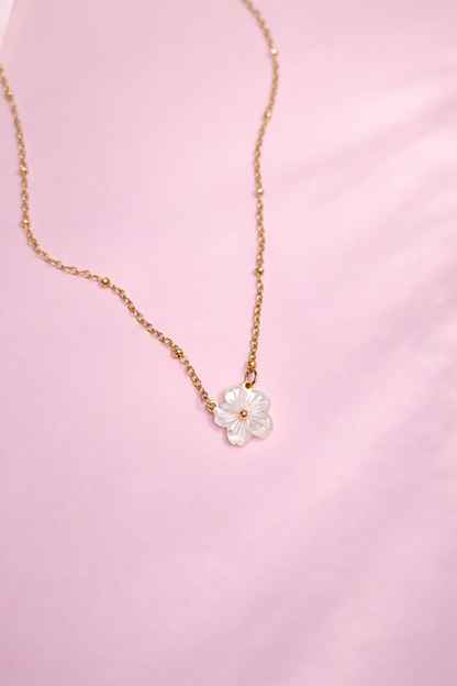 HANAMI